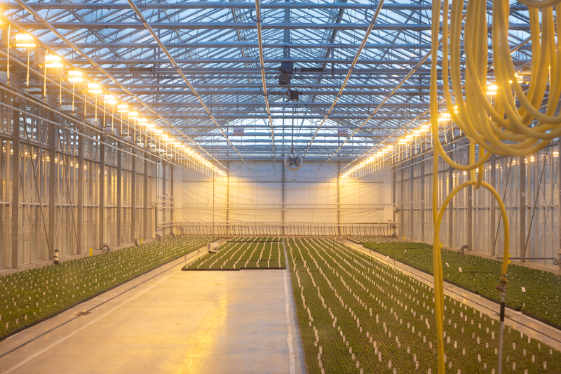 Marcel Witte interieur fotografie voor het mkb